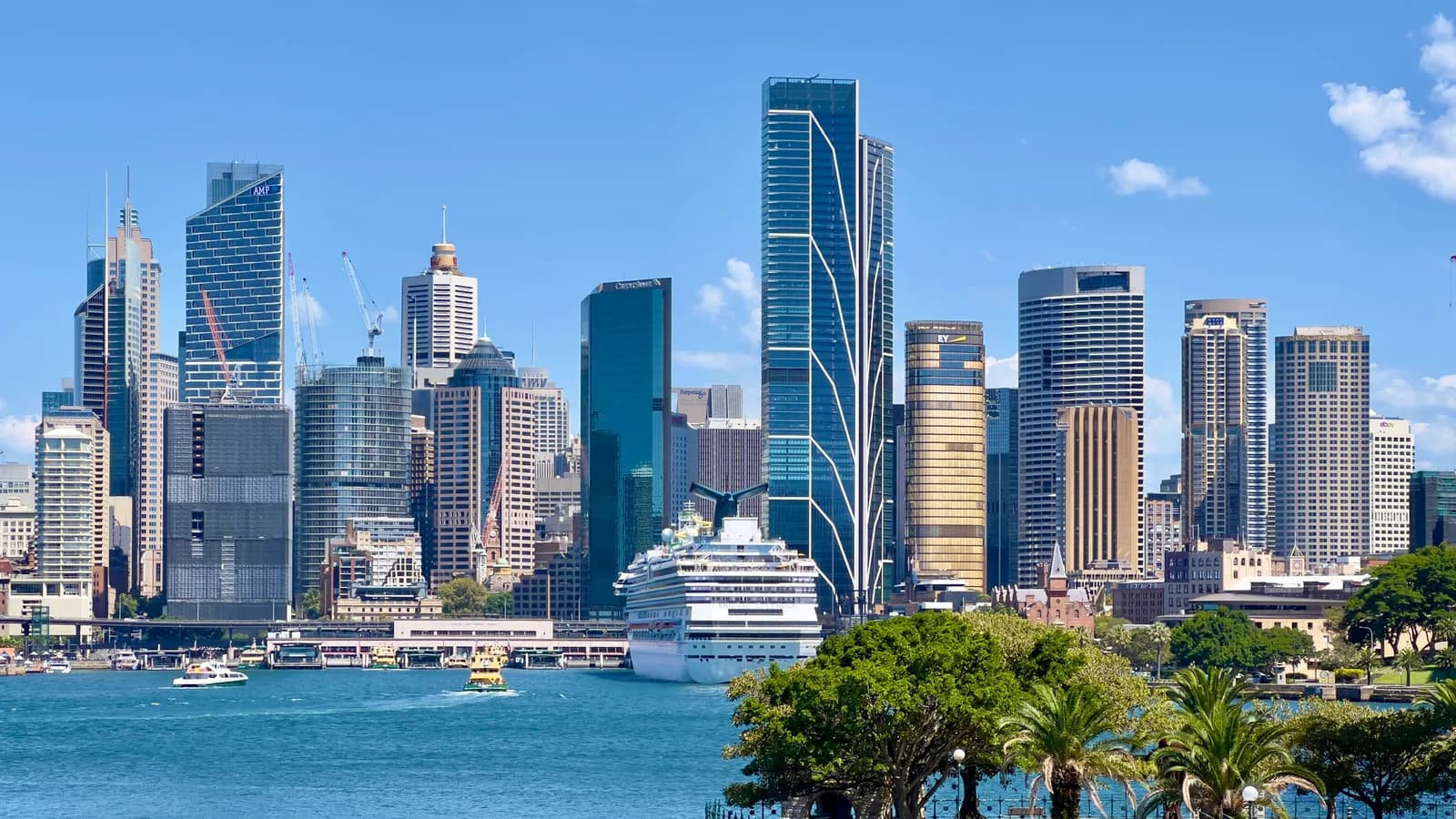The office towers of central Sydney under a blue sky with a few clouds, rising behind Circular Quay, with a large white cruise ship moored at the passenger terminal, a ferry and small boats on the harbour, and trees and palms in a waterfront park in the foreground.