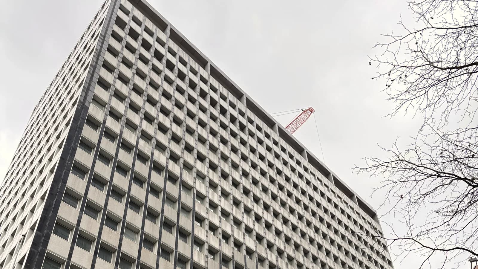 The Reserve Bank of Australia's head office in Sydney seen from below, a grid of small square windows under a grey winter sky, with bare branches at the right.