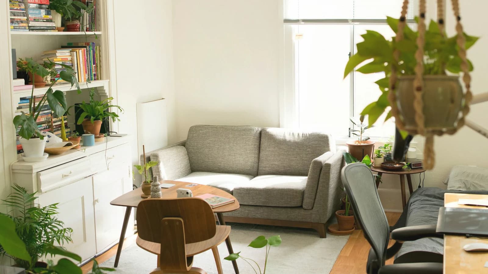 A sunlit living room with a grey sofa, a wooden table, and several houseplants.