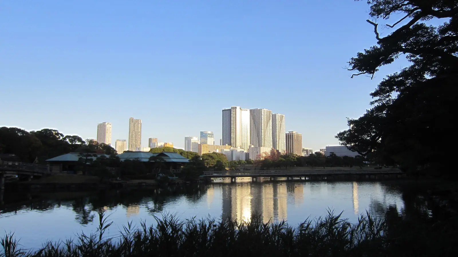 Residential towers on Tokyo's bayside rise beyond the pond and trees of Hama-rikyu Gardens under a clear blue sky.
